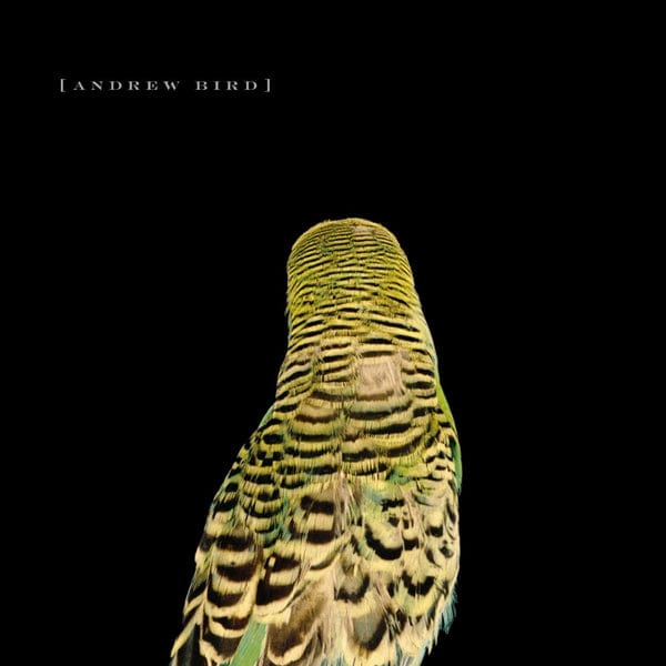 New Vinyl Andrew Bird - Armchair Apocrypha LP NEW 10010062