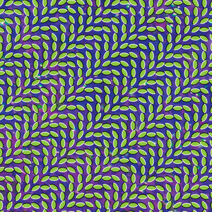 New Vinyl Animal Collective - Merriweather Post Pavilion 2LP NEW 10005292