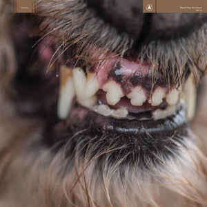 New Vinyl Blanck Mass - World Eater LP NEW 10008492