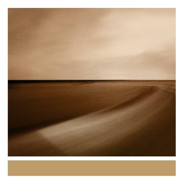 New Vinyl Brian Eno - Small Craft On A Milk Sea LP NEW 10021317