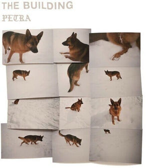 New Vinyl Building - PETRA LP NEW 10017974