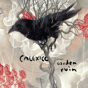 New Vinyl Calexico - Garden Ruin LP NEW Colored Vinyl 10027715