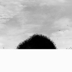 New Vinyl Chihei Hatakeyama - Forgotten Hill LP NEW 10018369