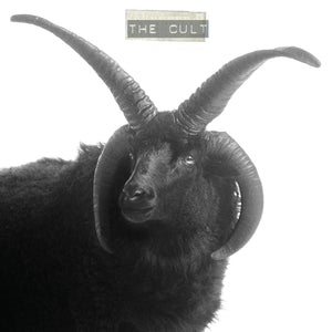 New Vinyl Cult - Self Titled 2LP NEW Indie EXclusive 10030213