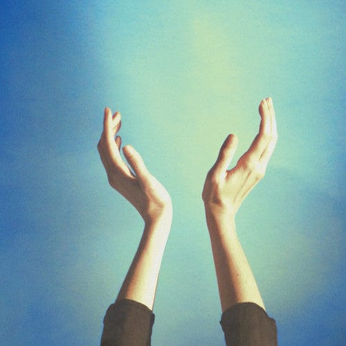 New Vinyl Cults - Offering LP NEW 10010555
