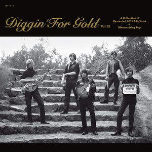 New Vinyl Diggin' For Gold Vol. 12 LP NEW 10024158