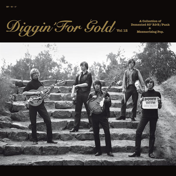 New Vinyl Diggin' For Gold Vol. 12 LP NEW 10024158