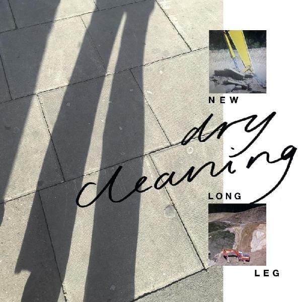 New Vinyl Dry Cleaning - New Long Leg LP NEW Colored Vinyl 10022579