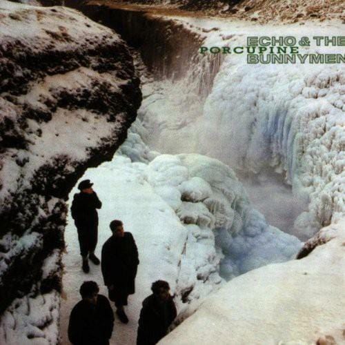 New Vinyl Echo & The Bunnymen - Porcupine LP NEW 10002426