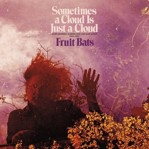 New Vinyl Fruit Bats - Sometimes a Cloud Is Just a Cloud 2LP NEW COLOR VINYL 10025579