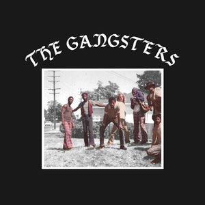 New Vinyl Gangsters - Self Titled LP NEW 10023896