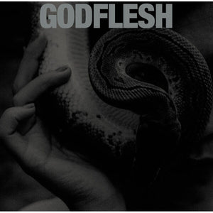 New Vinyl Godflesh - Purge LP NEW 10031507