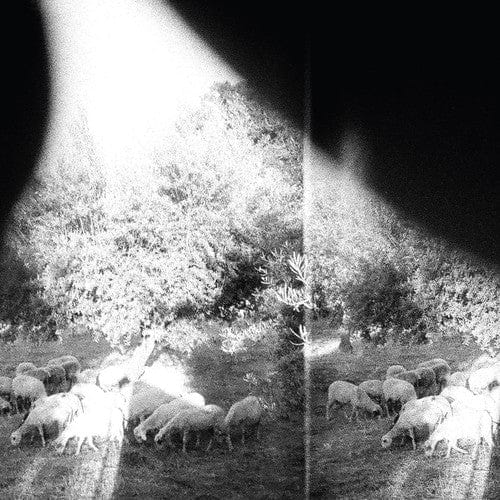 New Vinyl Godspeed You! Black Emperor - Asunder, Sweet and Other Distress LP NEW 10003683
