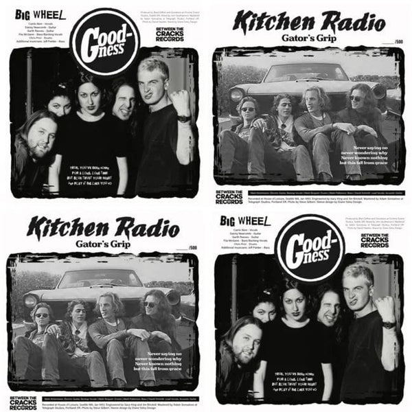 New Vinyl Goodness / Kitchen Radio - Between The Cracks 7" NEW LTD NUMBERED 10031258