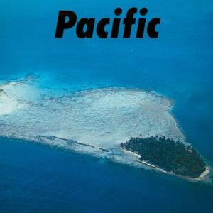 New Vinyl Haruomi Hosono/Shigeru Suzuki/Tatsuro Yamashita - Pacific LP NEW 10030110