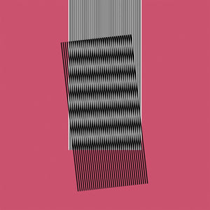 New Vinyl Hot Chip - Why Make Sense? LP NEW 10011629