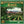 New Vinyl Kottonmouth Kings - Green Album 2LP NEW 10033494