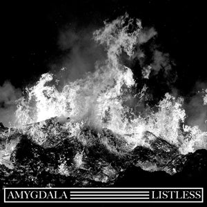 New Vinyl Listless / Amygdala - Split LP NEW INDIE EXCLUSIVE 10025337