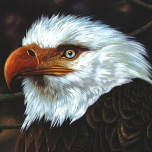 New Vinyl Mogwai - Hawk Is Howling LP NEW REISSUE 10013289