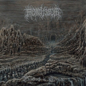 New Vinyl Mortiferum - Preserved In Torment LP NEW 10025506