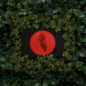 New Vinyl Moses Sumney - 