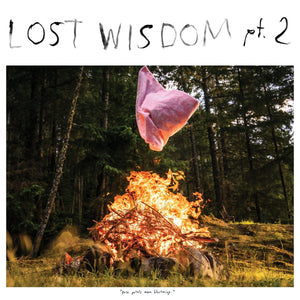 New Vinyl Mount Eerie - Lost Wisdom pt. 2 LP NEW 10026882