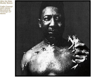 New Vinyl Muddy Waters - After The Rain LP NEW 10004863