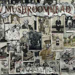 New Vinyl Mushroomhead - The Wonderful Life 2LP NEW 10019855