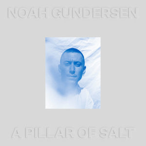 New Vinyl Noah Gundersen - A Pillar of Salt 2LP NEW CLEAR VINYL 10027830