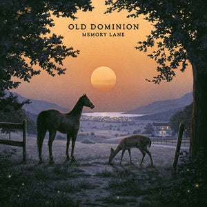 New Vinyl Old Dominion - Memory Lane 2LP NEW 10032623