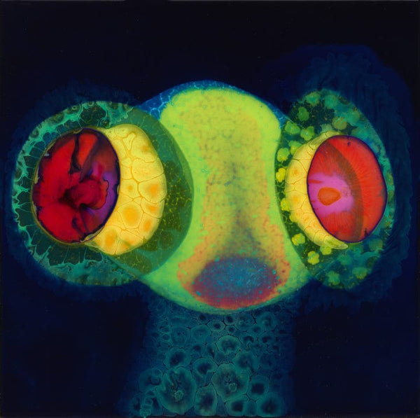 New Vinyl Osees - SORCS 80 LP NEW COLOR VINYL 10035222