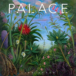 New Vinyl Palace - Life After LP NEW 10033573