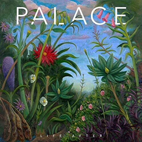 New Vinyl Palace - Life After LP NEW 10033573