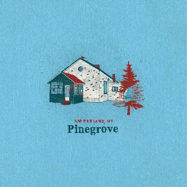New Vinyl Pinegrove - Amperland, NY LP NEW 10022247