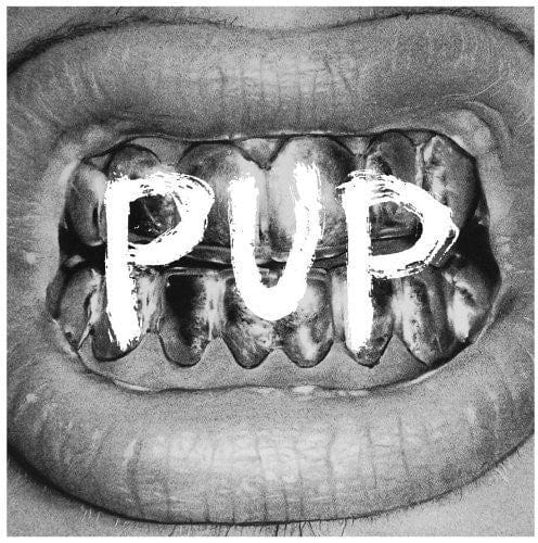 New Vinyl Pup - Self Titled LP NEW 10013334