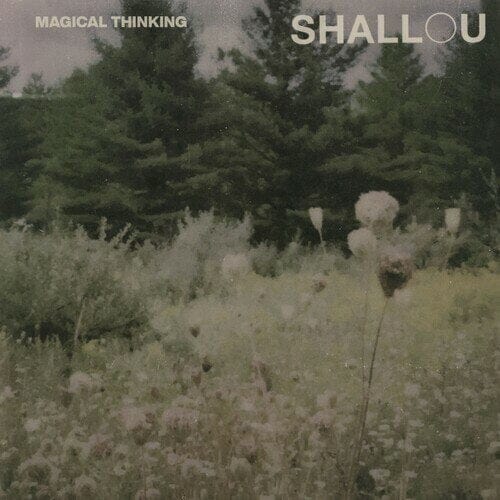 New Vinyl Shallou - Magical Thinking LP NEW 10020322