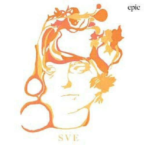 New Vinyl Sharon Van Etten - Epic LP NEW 10001250