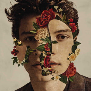 New Vinyl Shawn Mendes - Self Titled LP NEW 10013211