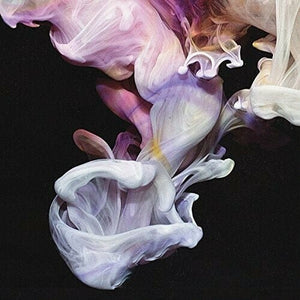 New Vinyl Simian Mobile Disco - Murmurations 2LP NEW 10021619