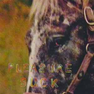 New Vinyl Spirit Of The Beehive - Pleasure Suck LP NEW Colored Vinyl 10030757