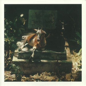 New Vinyl Spirits & Worm - Self Titled LP NEW 10025314