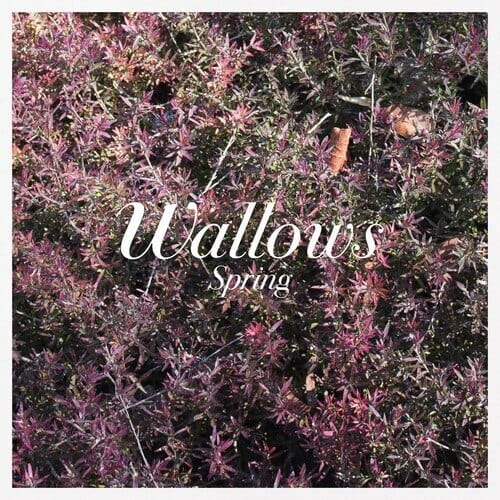 New Vinyl Wallows - Spring LP NEW COLOR VINYL 10020548