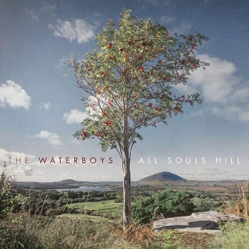 New Vinyl Waterboys - All Souls Hill LP NEW 10027722