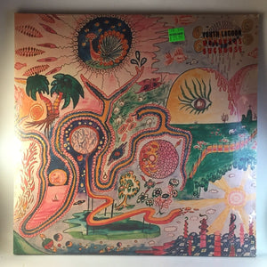 New Vinyl Youth Lagoon - Wondrous Bughouse 2LP NEW 10004829