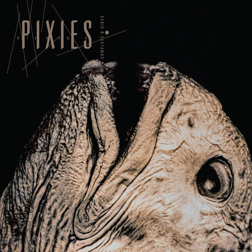 Pixies - Complete B Sides: 1988-97 2LP NEW Indie Exclusive