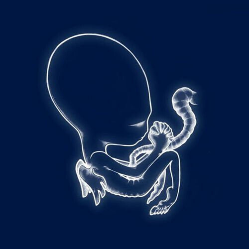 Sigur Ros - Agaetis Byrjun 2LP NEW