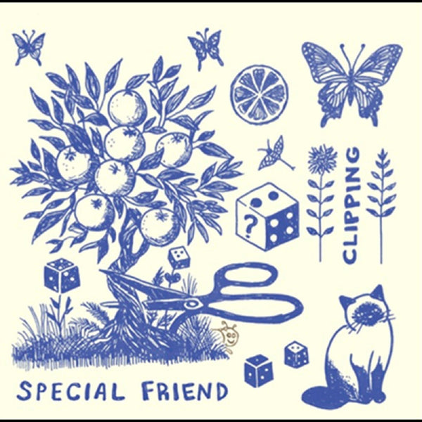 Special Friend - Clipping LP NEW