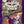 Sticker Book The Antiquarian Sticker Book: Imaginarium (The Antiquarian Sticker Book Series) 9781250851895