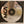 Used CDs Elton John – Tumbleweed Connection CD USED VG++/VG+ Made in Japan J072423-16