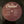 Used Vinyl Bob Seger & The Silver Bullet Band – Live Bullet 2LP USED NM/VG J092423-14